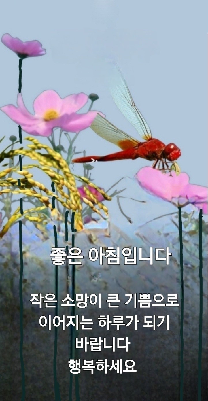 ♡ 아끼고 사랑해도 허망한 
     세월인 것을ᆢ
언제 떠나는지 서로 몰라도 가다 보면 서로 만나 웃기도
하고, 울기도 하고,
애절한 사연 서로 나누다 갈림길 돌아서면 어차피 헤어질 사람들...
더 사랑해 줄 걸 후회할 것인데, 왜 그리 못난 자존심으로 용서 못하고, 이해 못하고 비판�하면서 미워했는지...
사랑하며 살아도 너무 짧은 시간인데
베풀어 주고 또 줘도 남는 것들인데 웬 욕심으로 무거운
짐만 지고 가는 고달픈 나그네 신세인가...
그 날이 오면 다 벗고 갈텐데, 무거운 물질의 옷도, 화려한 명예의 옷도,
자랑스런 고운 모습도...
더 그리워하면 더 만나고 싶고, 더 주고 싶고, 보고 또 보고 따뜻이 위로하며 살아야 하는데, 왜 그리 마음에 문을 걸어 닫고 더 사랑하지 않았는지, 아니 더 베풀지 못했는지...
천 년을 살면 그리할까? 만년을 살면 그러리요.
사랑한 만큼 사랑 받고, 도와준 만큼 도움 받는데, 심지도 않고 거두려고만
몸부림쳤던 부끄러운 나날들...
우리가 서로 아끼고
사랑해도 허망한
세월인 것을ᆢ
어차피 저 인생의 언덕만 넘으면 헤어질 것을ᆢ
미워하고 싸워 봐야
상처난 흔적만 훈장처럼 달고 갈텐데...
이제 살아 있다는
것만으로 감사하고
이제 함께 있다는
것만으로 사랑해야지.
우리는 다 길 떠날 나그네라네.