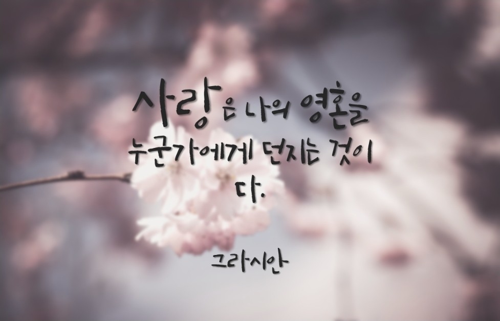 너에게 나를 던진다....