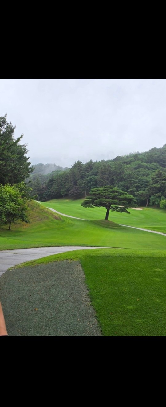 동래베네스트 카트포함15(현금가)