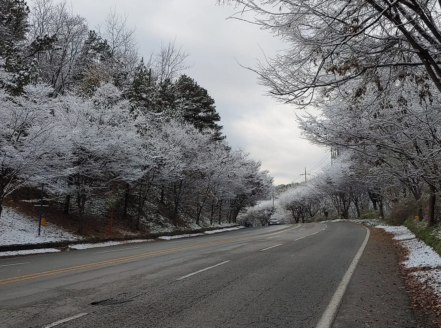 언제까지 더울텐가 ㅠ