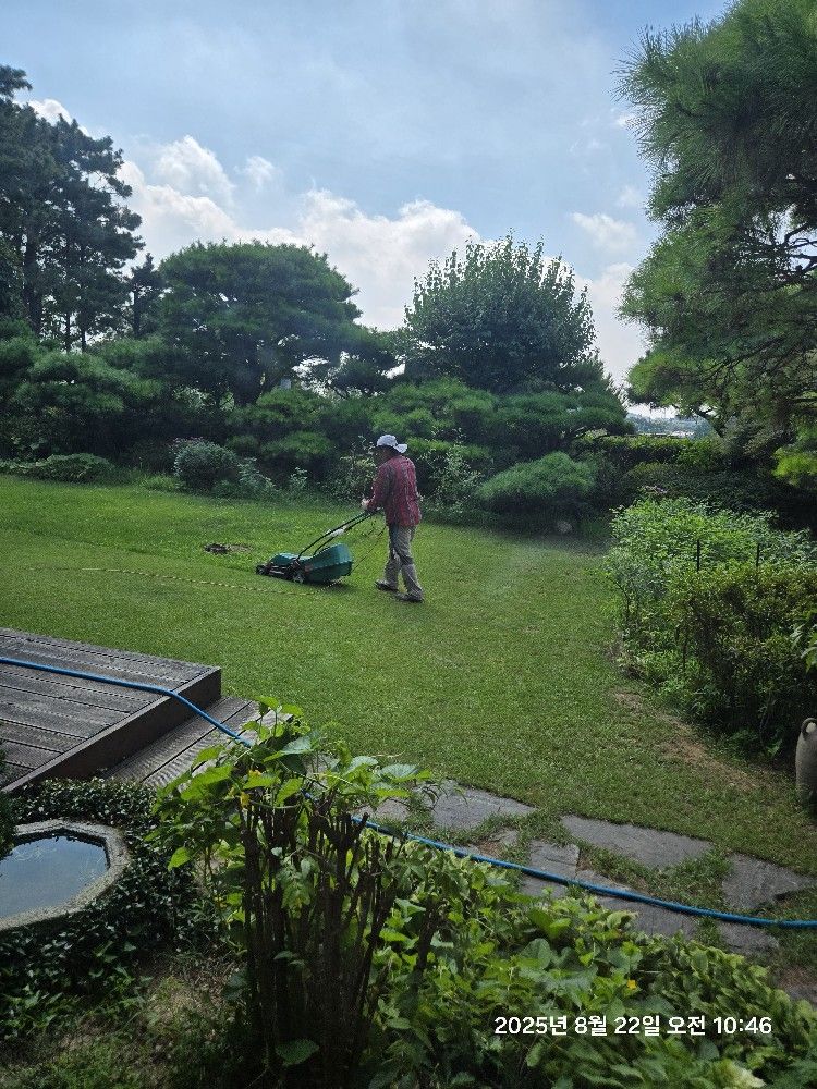 전인치유 앨범 사진