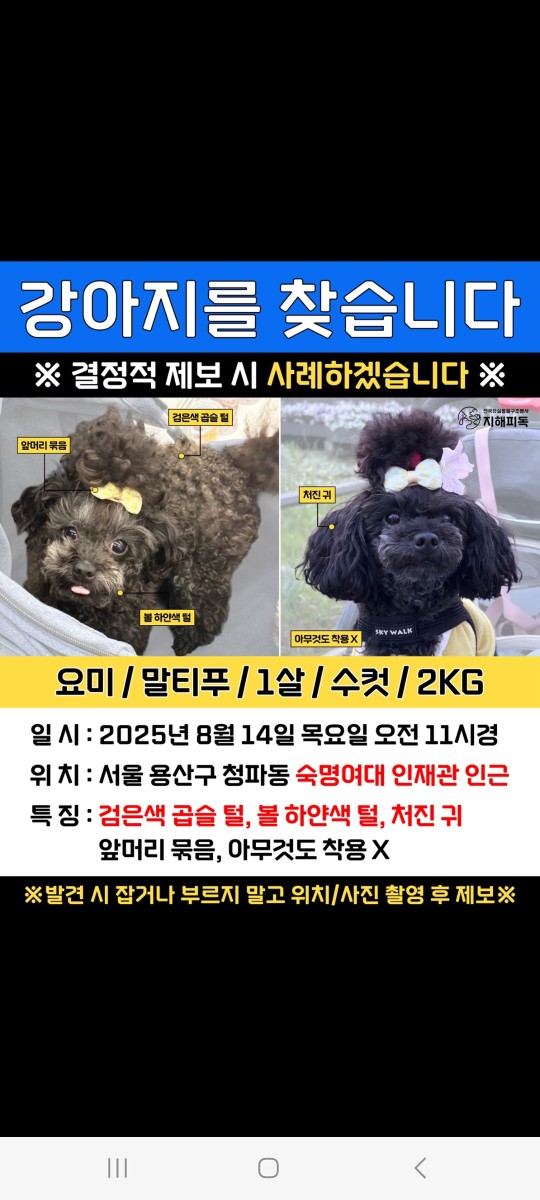 Post image 8