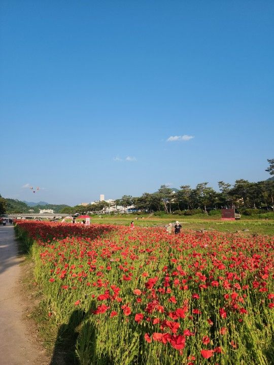 🚩우행시45~58(우리들의 행복한 시간) 앨범 사진