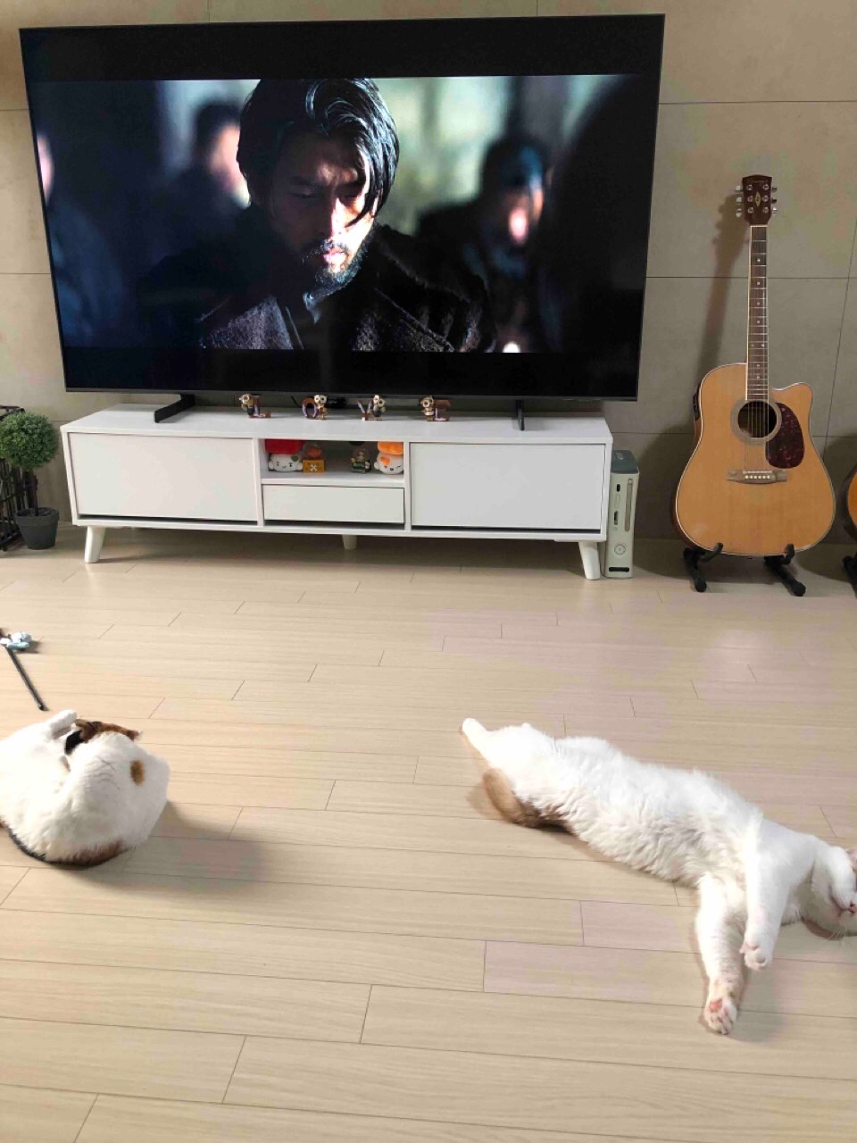 트로트빼고 다 좋아합니다 ㅋㅋ