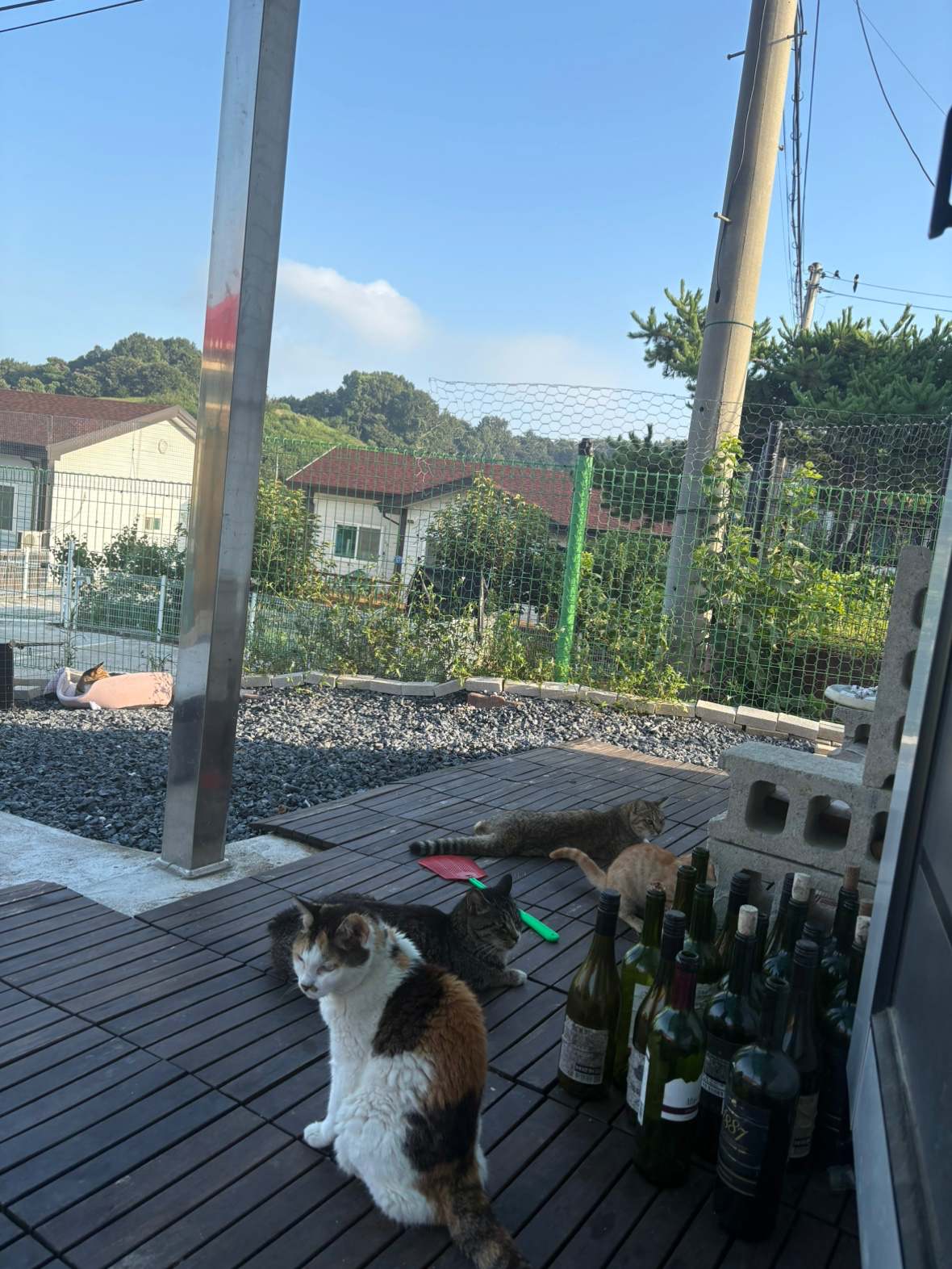 Post image 18