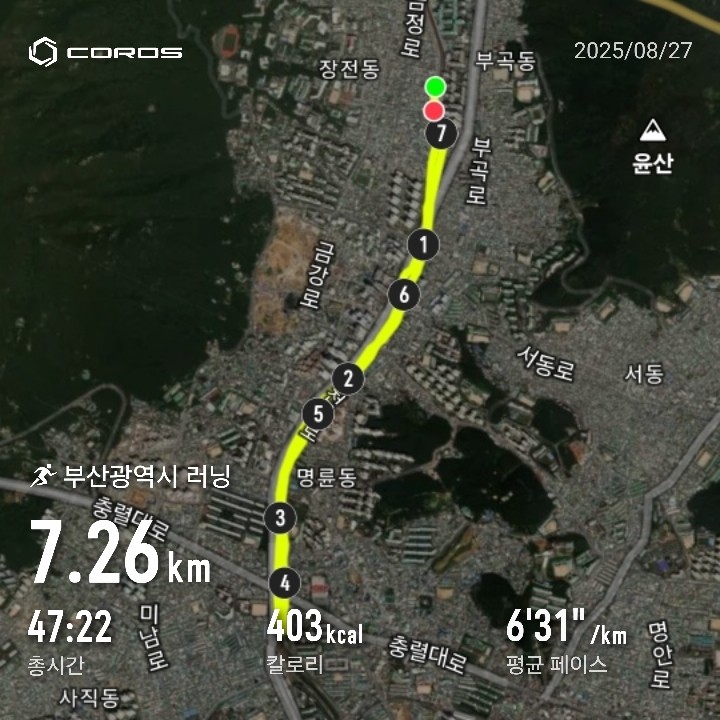 후반에 산발적으로 흩어지다 보니 사진도 한장 못 찍었군요.
@나이스백 @러닝왕초 @도이 님 처음 오셨습니다.
조이킴님은 사정상 혼자 하시고, 바다님은 도이님 안내 잘 해 주셨고, 당근쟁이님은 속주하다 후반에 같이 못 오셨는데, 내주에는 초보 팀은 바다님에게 맡기고 저는 20대 분들과 꾸준한 페이스로 달려 봐야겠네요.
그리고 모임 이 외에 일주일에 1회 정도는 더 뛰시길 추천합니다. 그래야 달리기가 몸에 배요.
