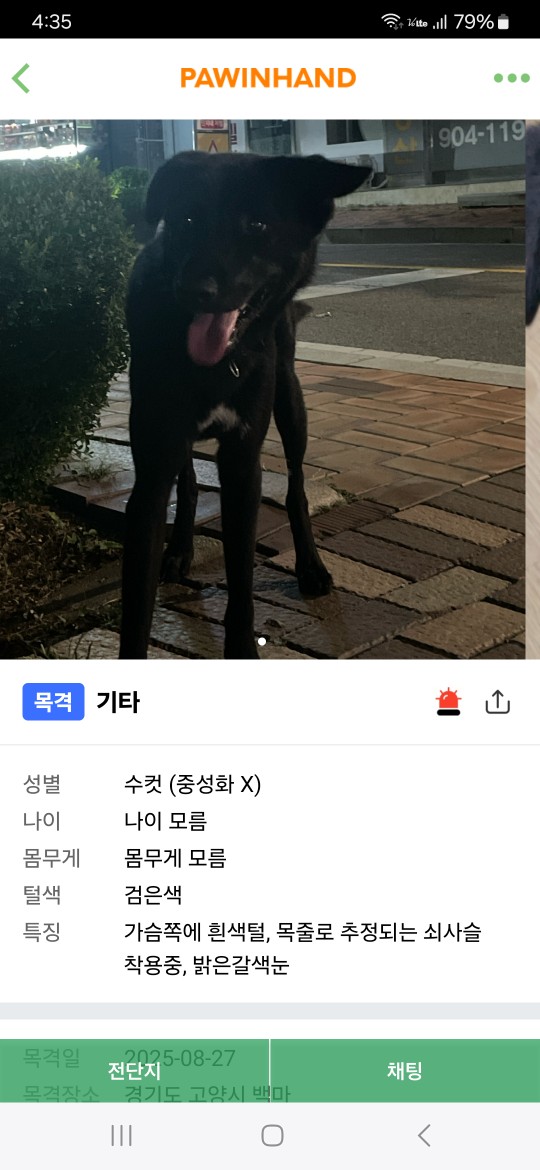 Post image 11