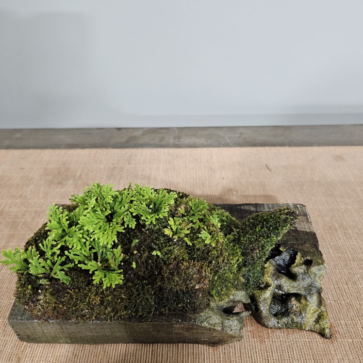 Post image 2