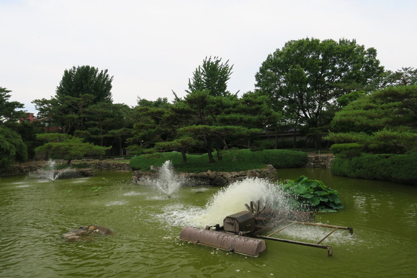 인격은 마음의 향기
수많은 재산을 자손에게
물려주는 것 보다
그 자손이 훌륭한
인격을 갖도록 가르쳐라.
이는 돈보다 훨씬
더 값진 일이다.
지혜는 재물을
주고 구할 수 있으나
덕은 재물로
구할 수 없다.
덕과 지혜를 모은다면
이 얼마나 큰 재산인가.
첨부사진 장소 : 수로왕릉
경남 김해시 왕릉길 26