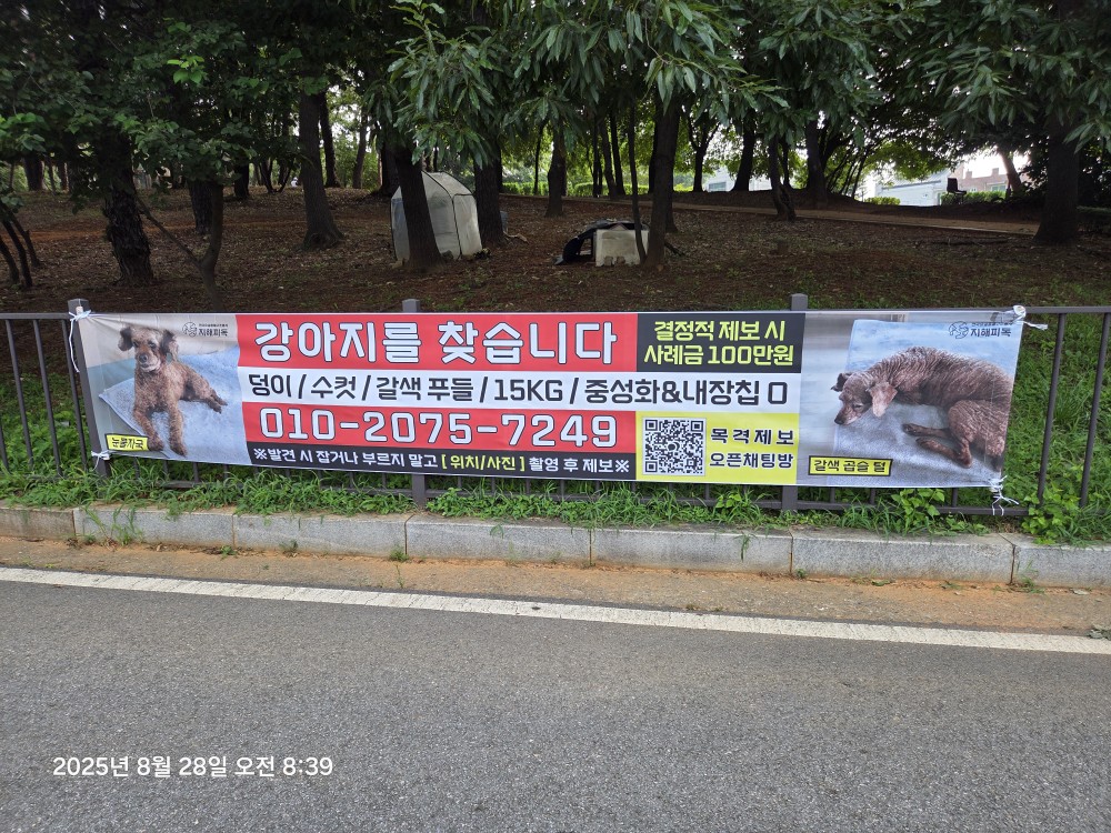 Post image 6
