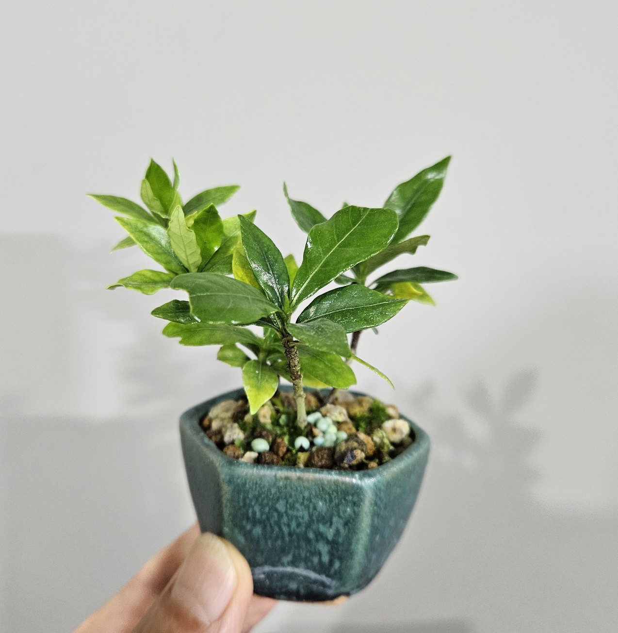 Post image 2