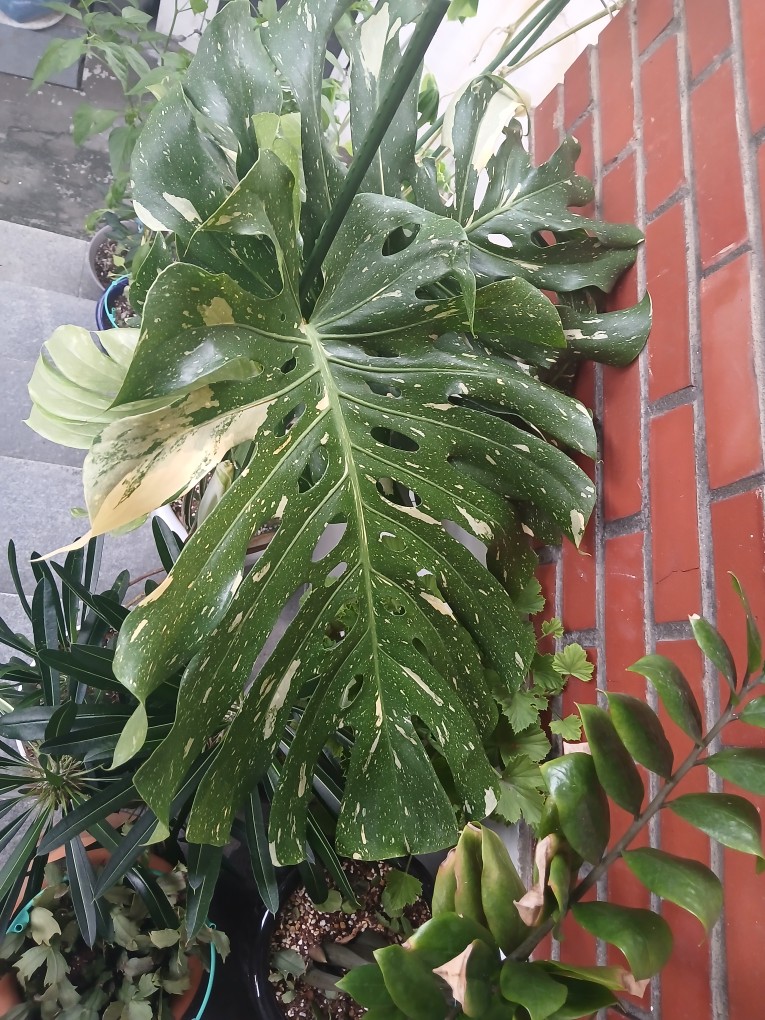 Post image 3