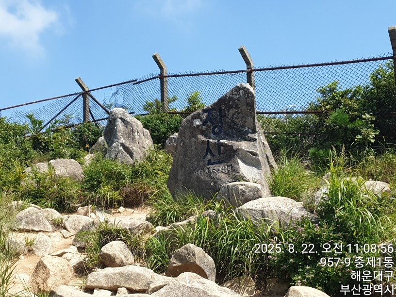 (월) 장산갈까요^^