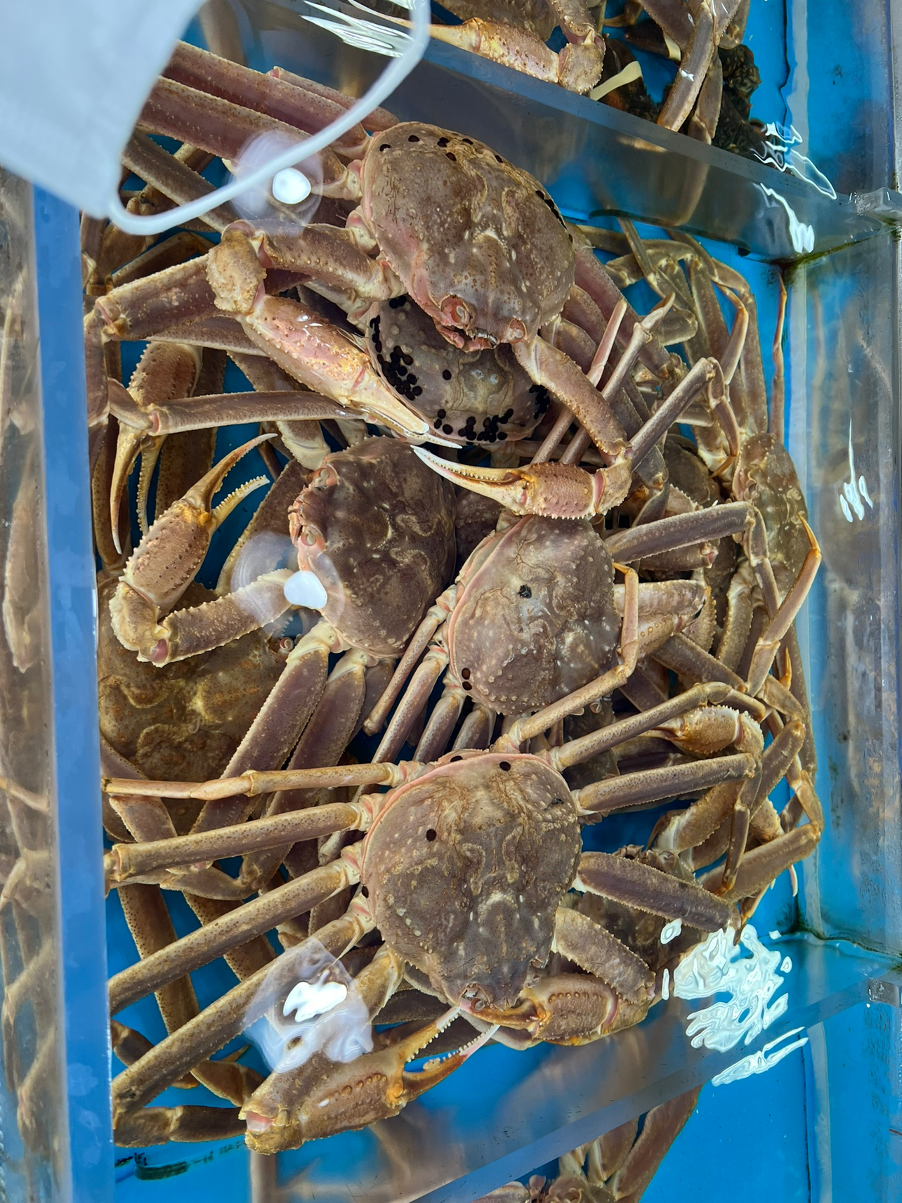 오늘은 좋은사람들과
언제 먹어도 맛있는 대게 먹기 ㅎㅎ

너무나 올~ 만에 기장까지 갔네요 ㅎㅎ

요건 언제 먹어도 맛있네요 ㅎㅎ
특히나 만나면 편하고 좋은사람들과 
함께 하니 더 맛있어요 ~~

항상 웃음 잃지말고 좋은 생각으로
긍정적으로 재밌고 건강하게 살아보자요 ^^