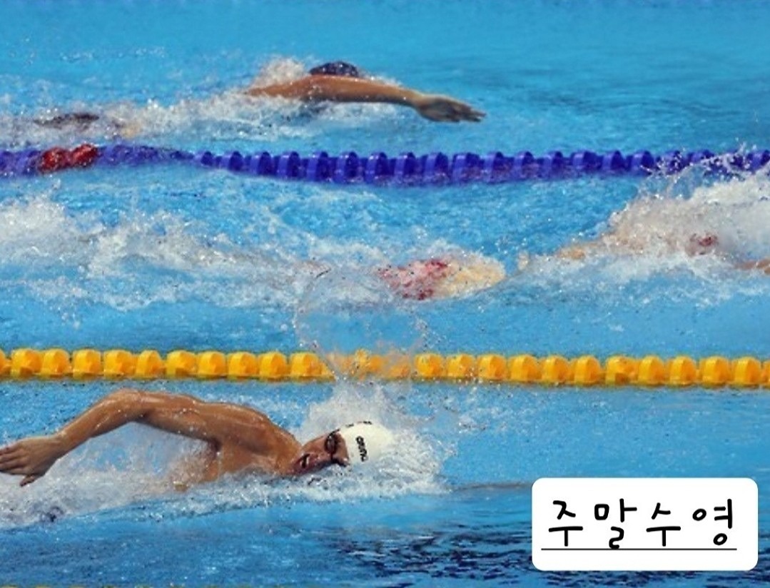 화요🏊‍♂️자유수영 가시쥬~♡