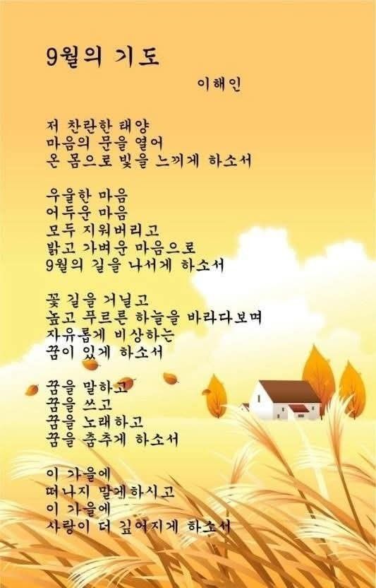 💘50대~60대 🤼‍♀️당근사랑방 💘 앨범 사진