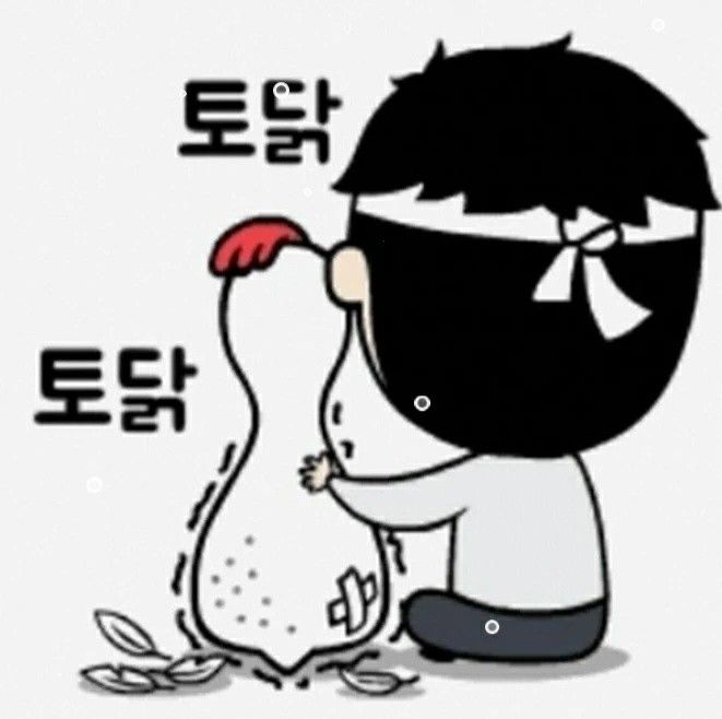 🌼😍3040 다정다감 🤗🌼논노와~ 앨범 사진