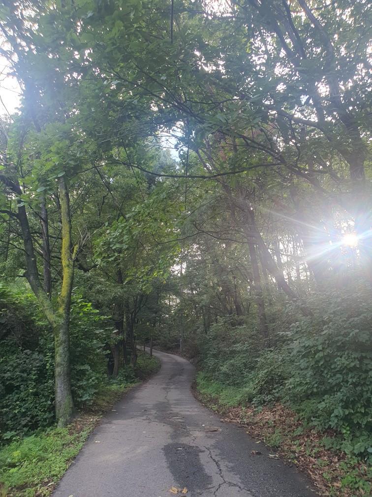 칠사산 다녀왔습니다~
어느덧 가을 문턱에 접어든듯하네요
산을찾는분들이라면 수없이가봤을 칠사산~
어김없이 나를 반겨주는곳은 산밖에없네요ㅋ
겸손하게 무사히 잘다녀왔습니다^^