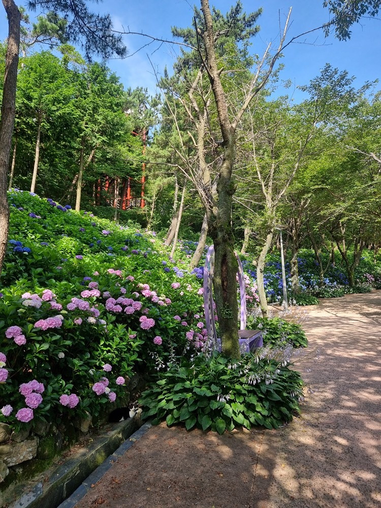 봉래산 둘레길 데크로드