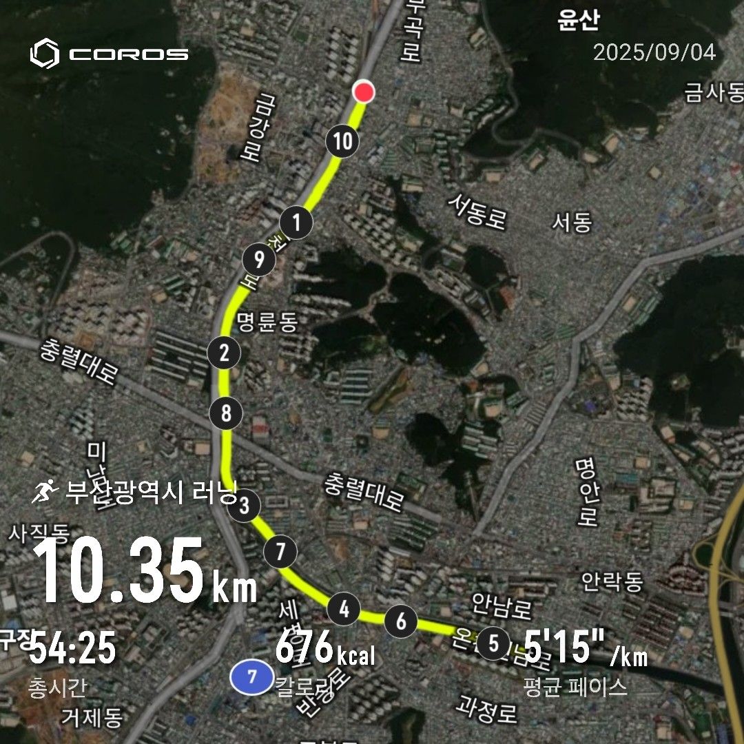 금수달 (온천천 금정구 수요 달리기) 앨범 사진