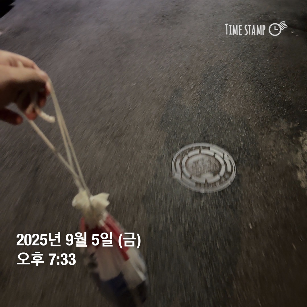 오늘은 스타트 다이빙? 연습했는데 배치기 한다고 배가 얼얼한 수영이었습니다 크크킄
