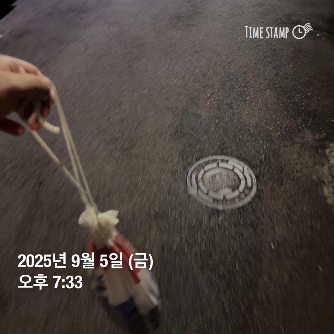 주말 자유수영 하러가는 모임 앨범 사진