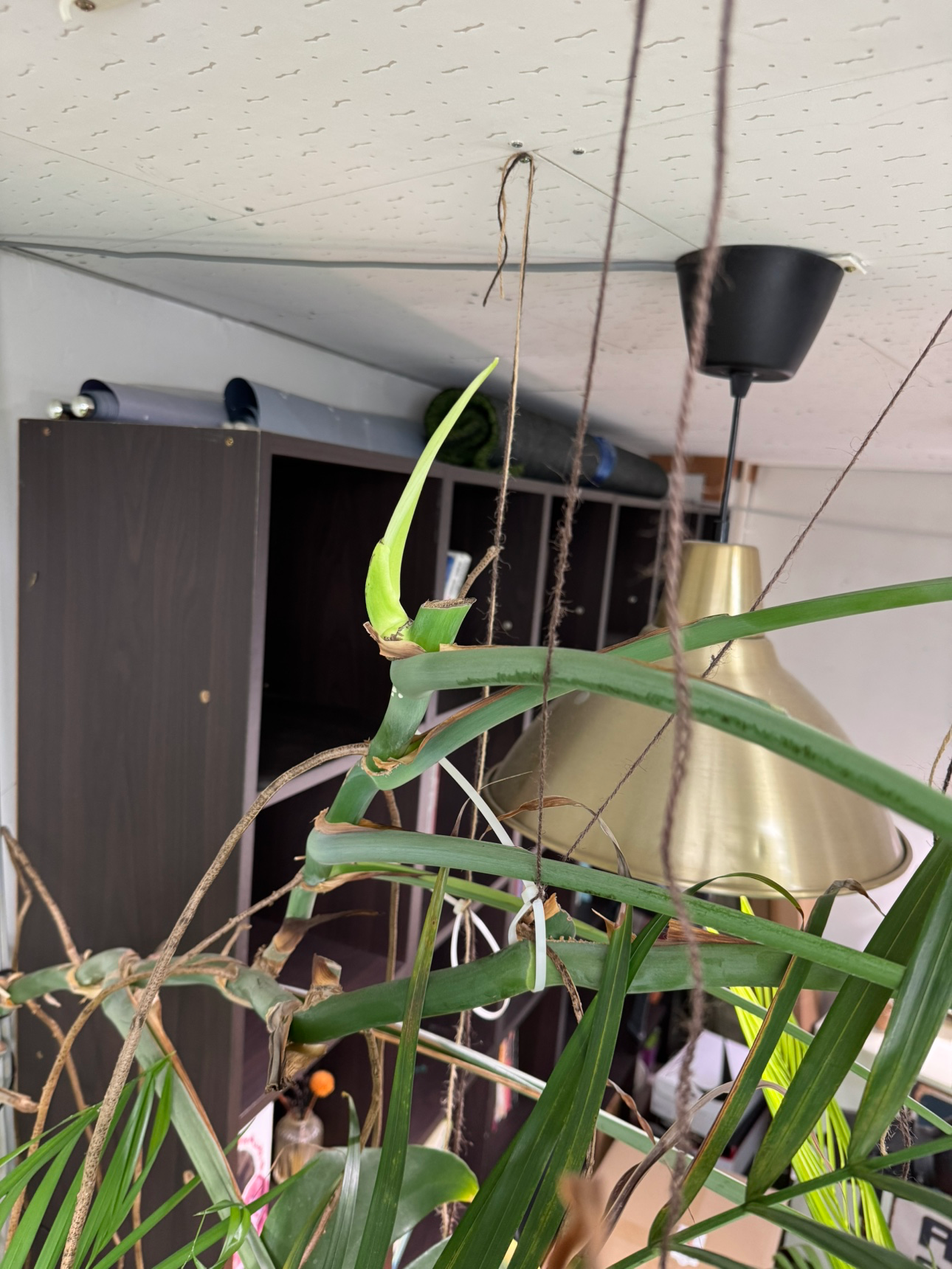 Post image 2