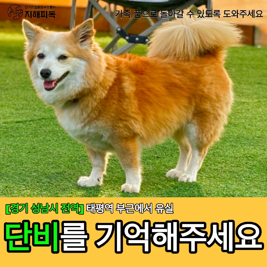 Post image 8
