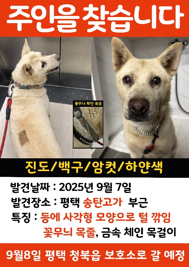 Post image 21