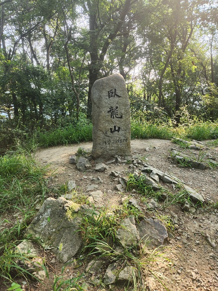 트래킹