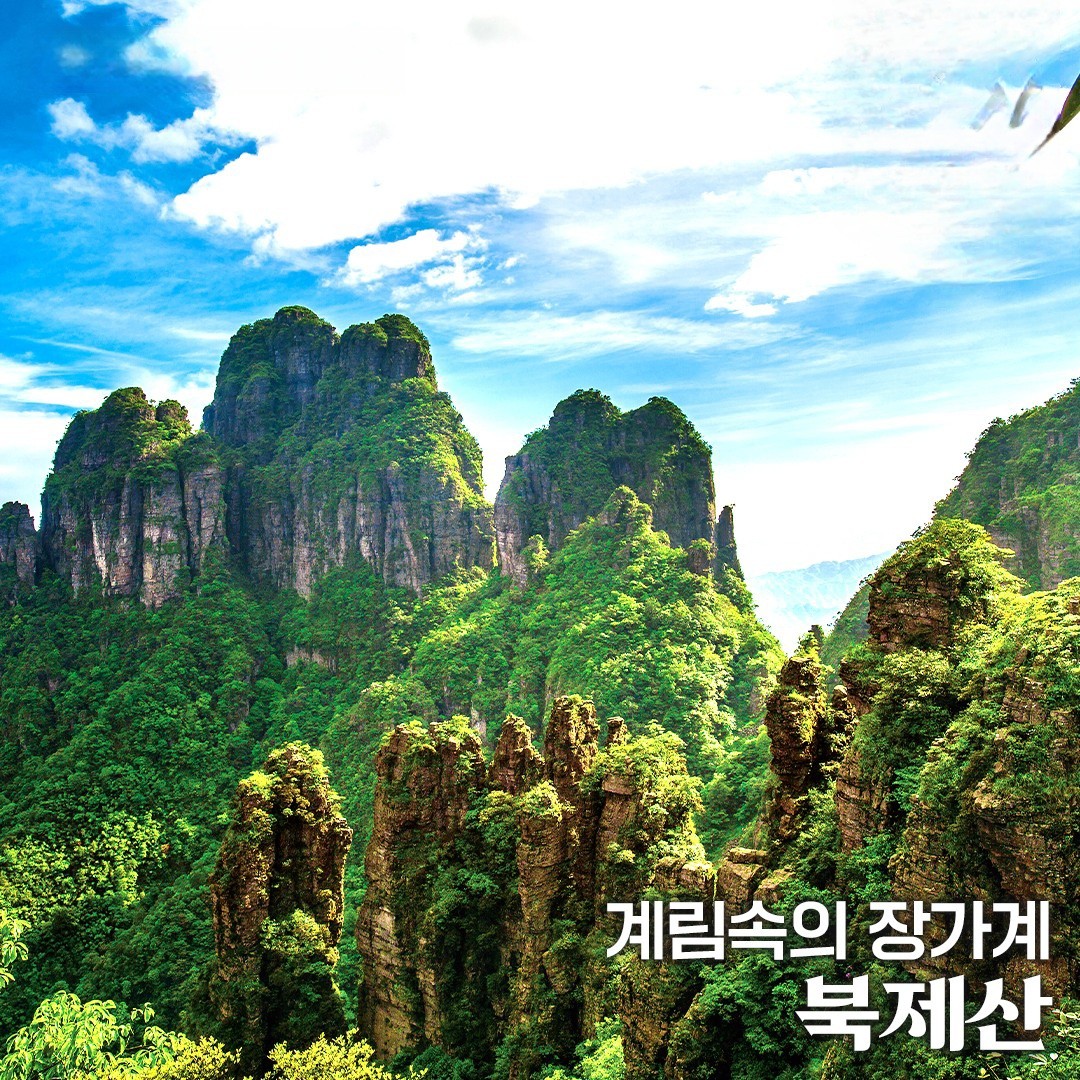 Post image 21