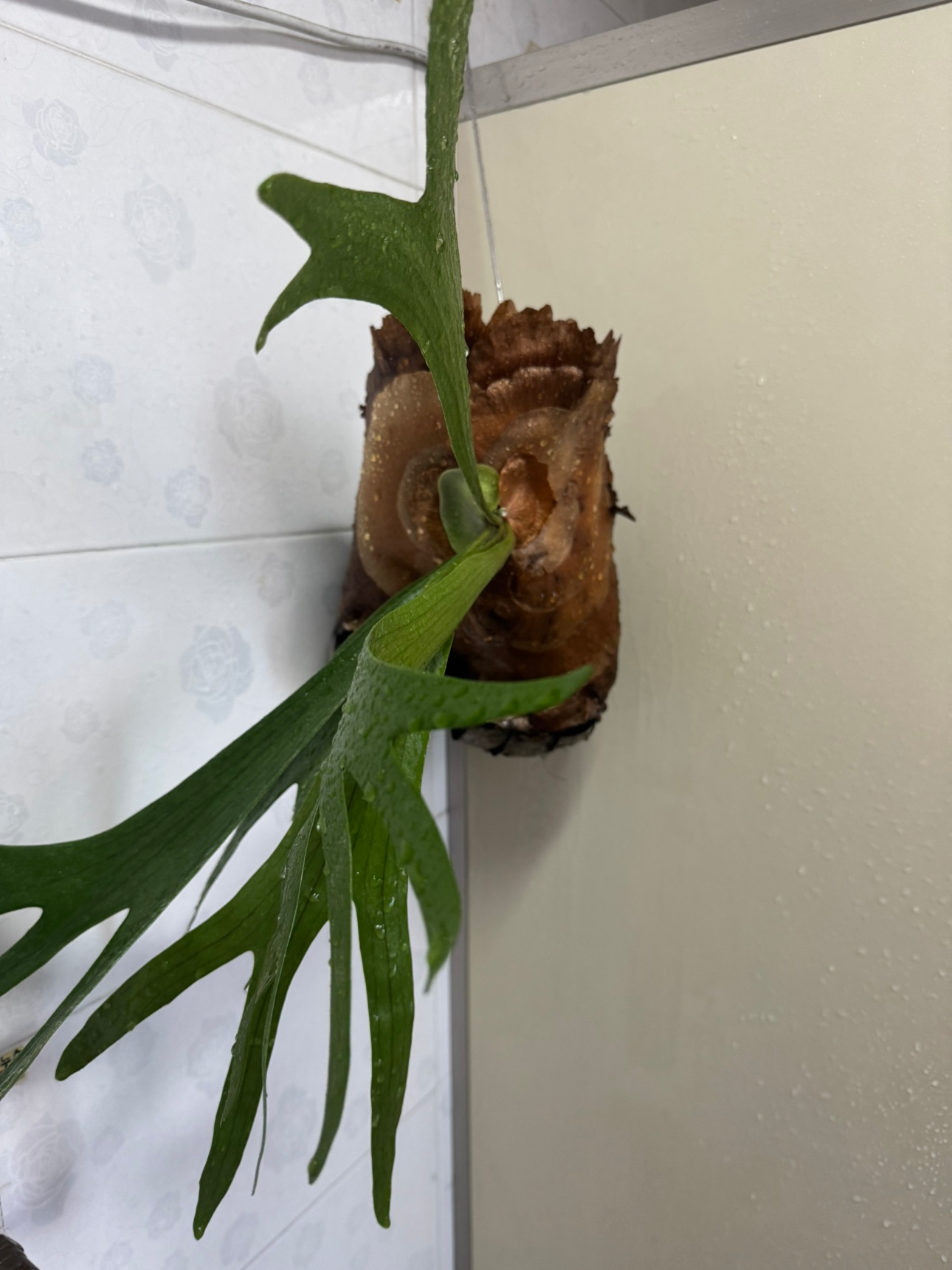 Post image 2