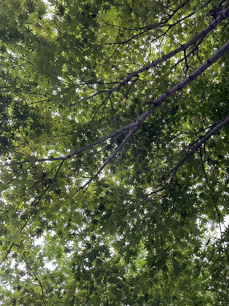 다들 고생하셨습니다