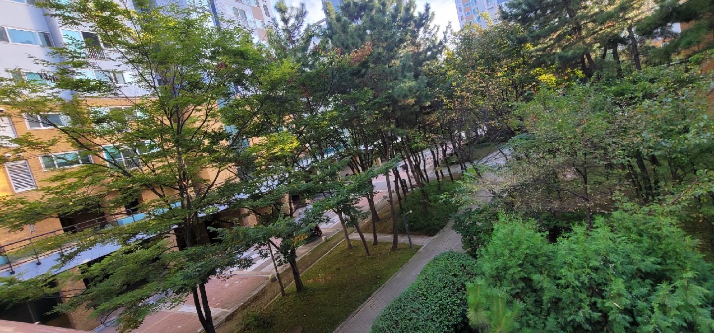 오늘도 기막히게 아름다운멋진하루요ㅡ우연이라는 스침과 만남은 우주에 각인되고 새로운 가치창조