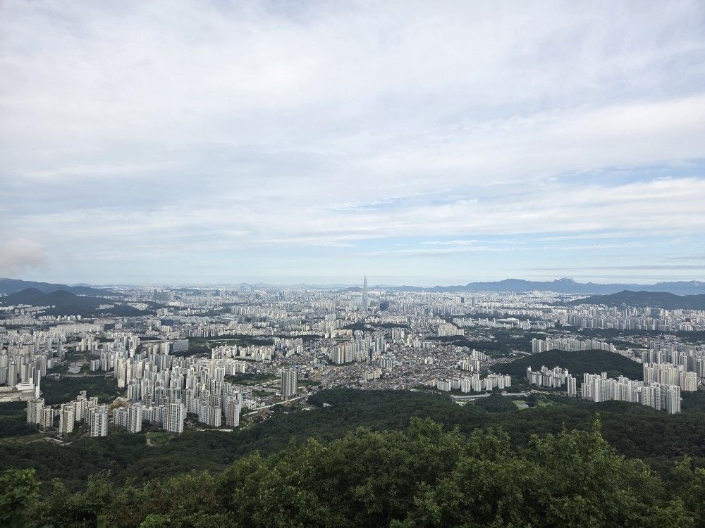 🌿🍁🌳등린이분들 모이세요~~