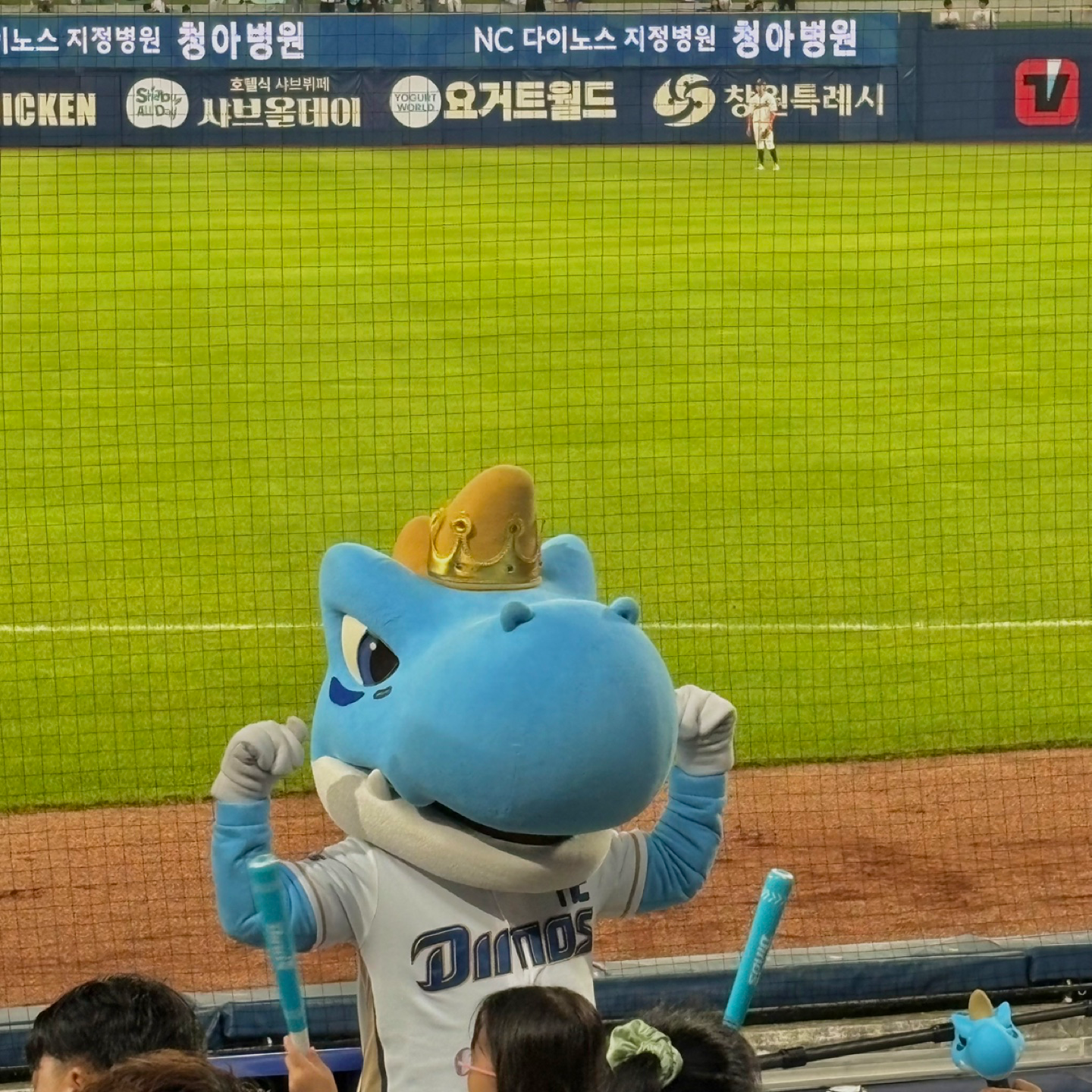 야구 직관
