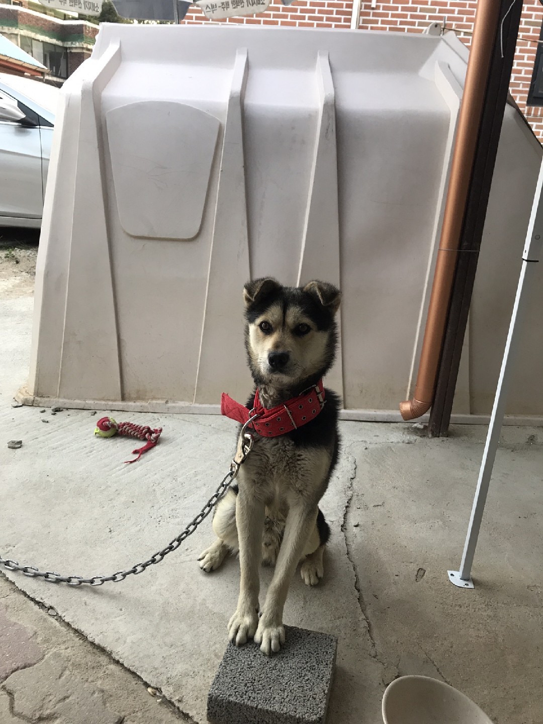 Post image 18