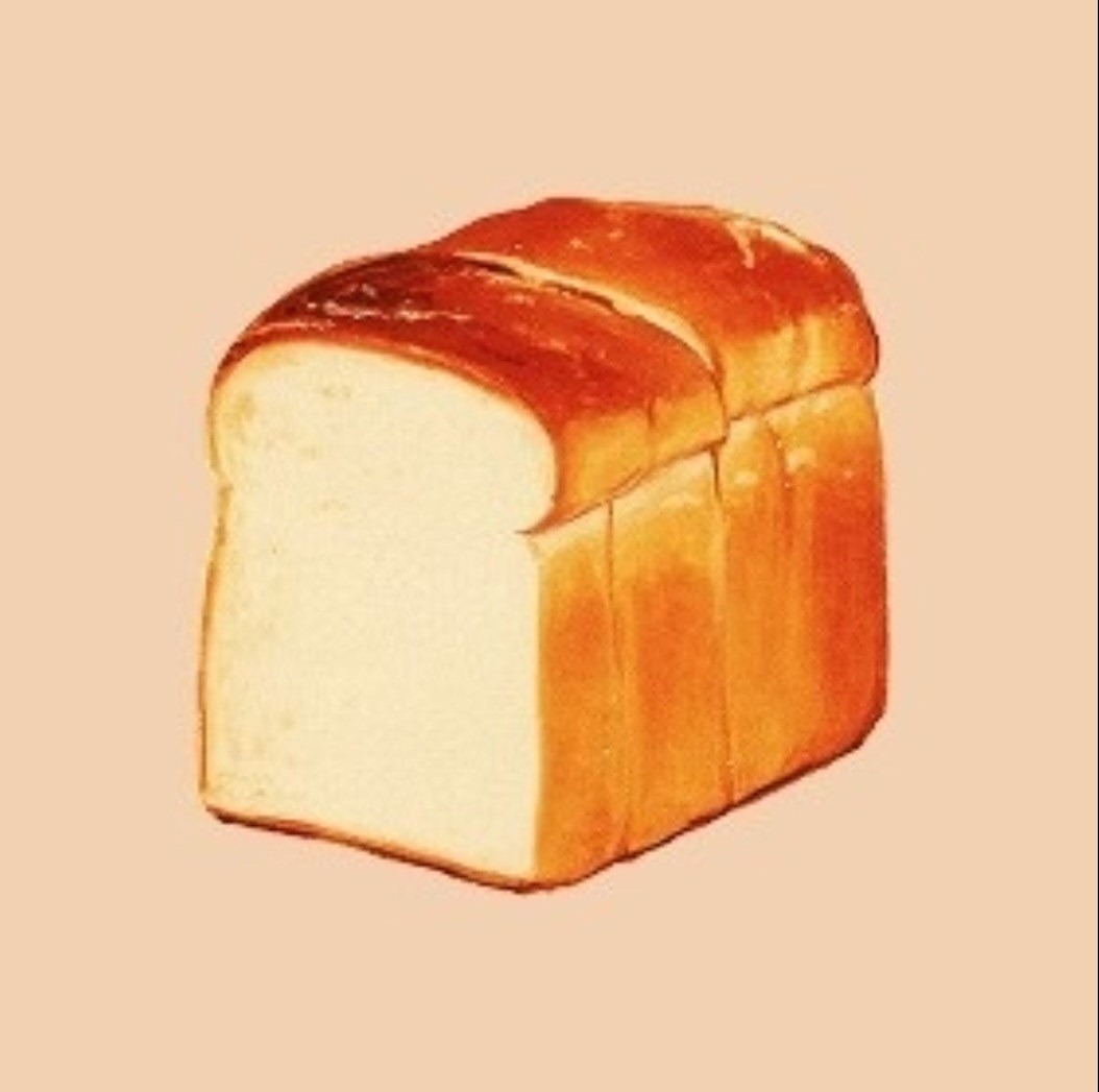 식빵 친구들과 수다 타임! 🗣️