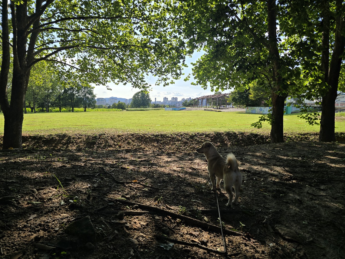 Post image 12