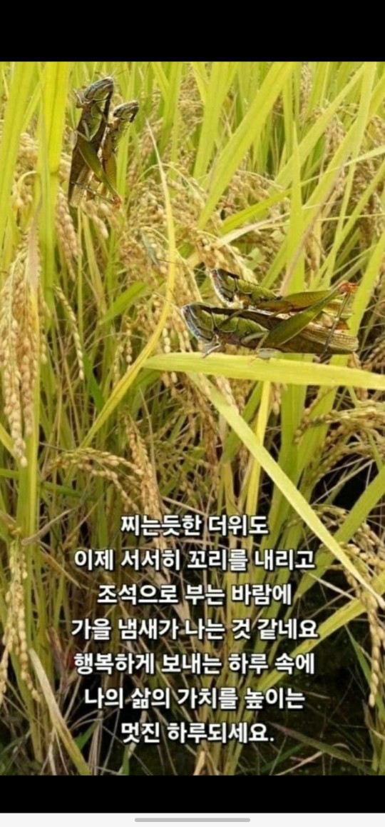 좋은날씨요