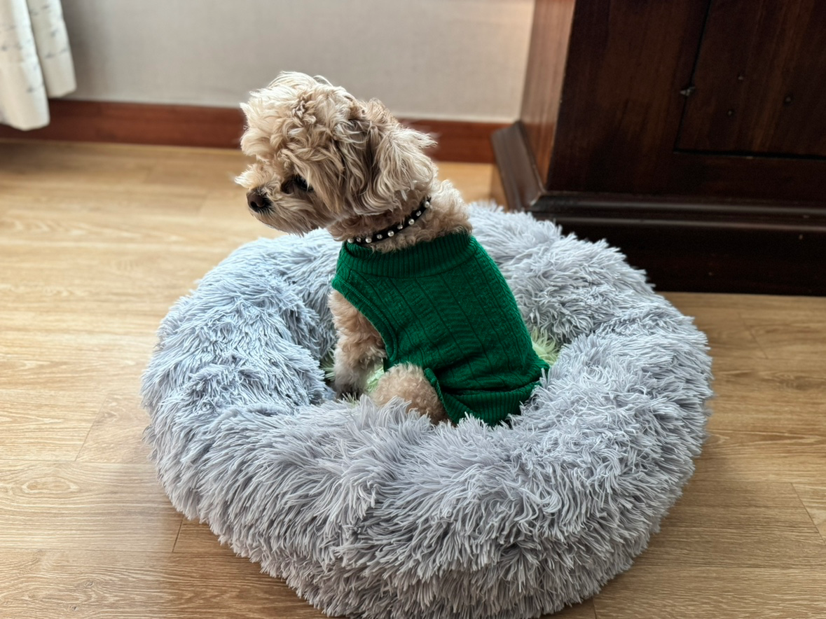 가까운 탄천 산책부터  맘껏 뛰놀며 추억 만들수 있는