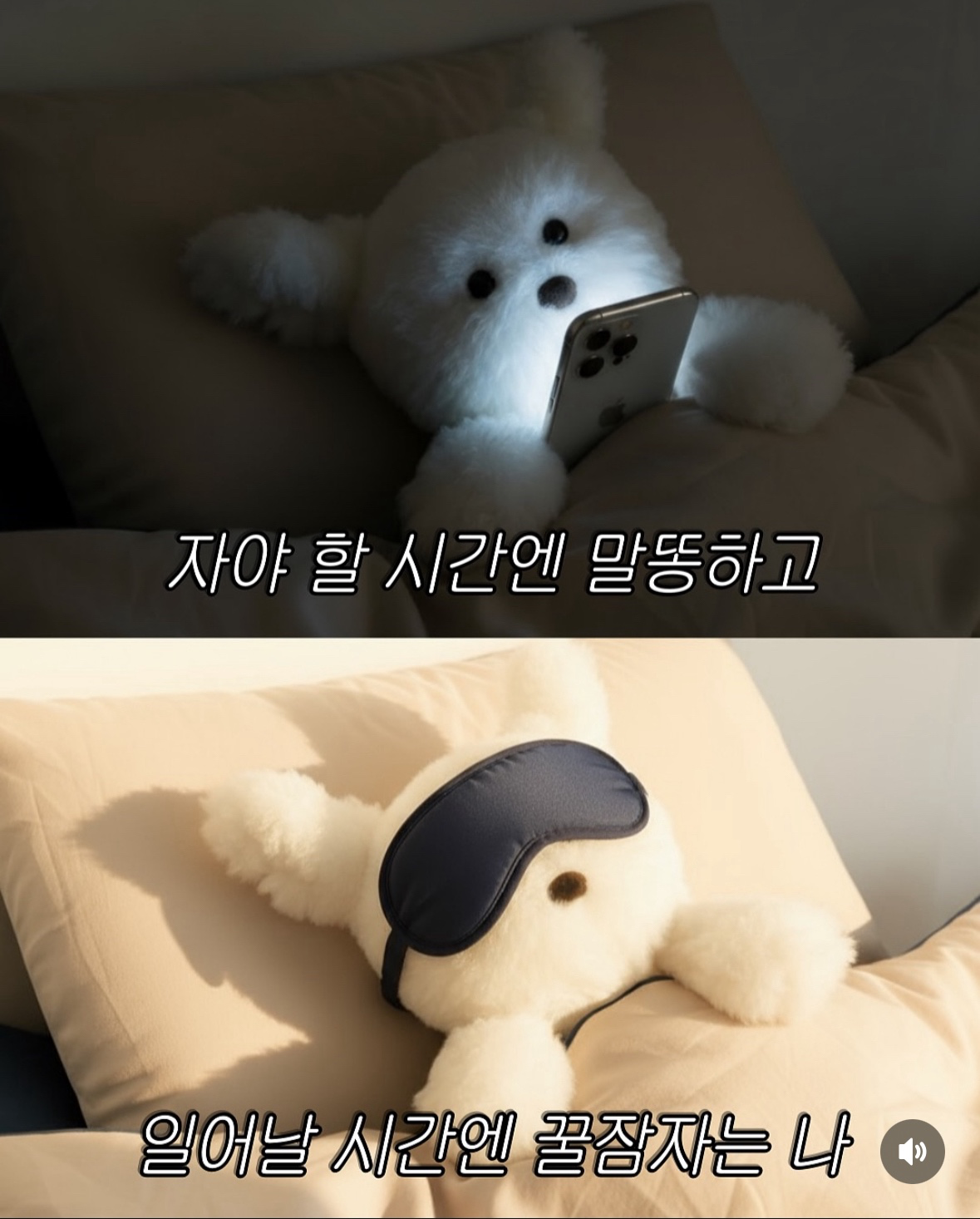 멤버분들환영해요^~^*