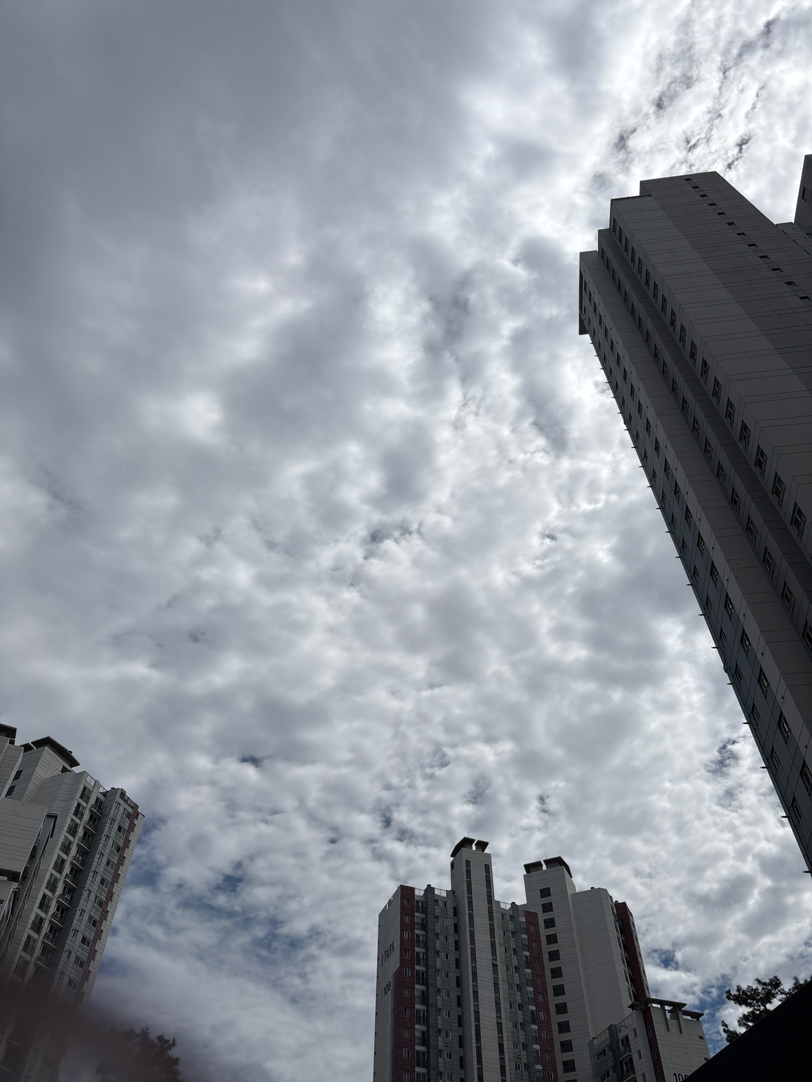 비가 한번 더 오려나봐요 ㅎㅎㅎ