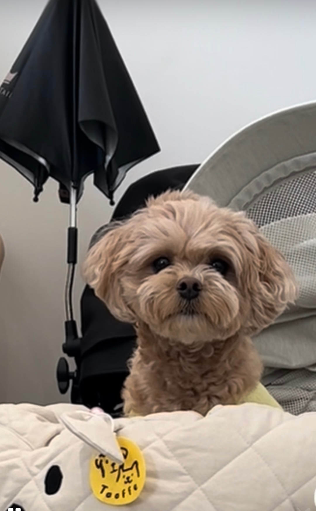 가까운 탄천 산책부터  맘껏 뛰놀며 추억 만들수 있는