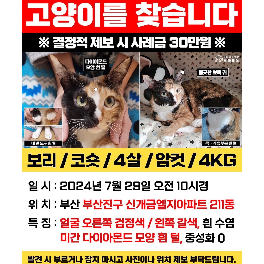 Post image 11