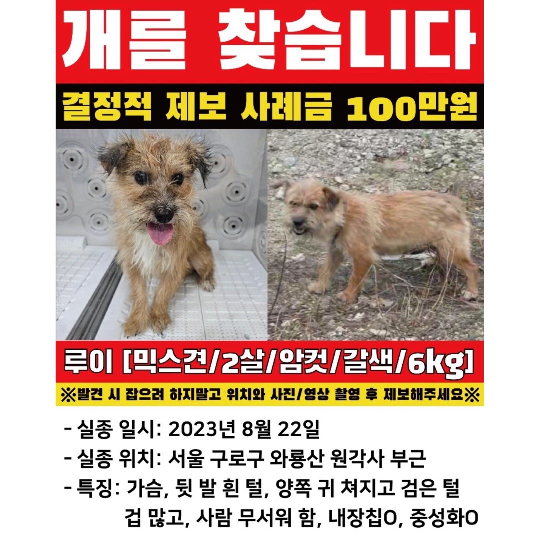 Post image 19