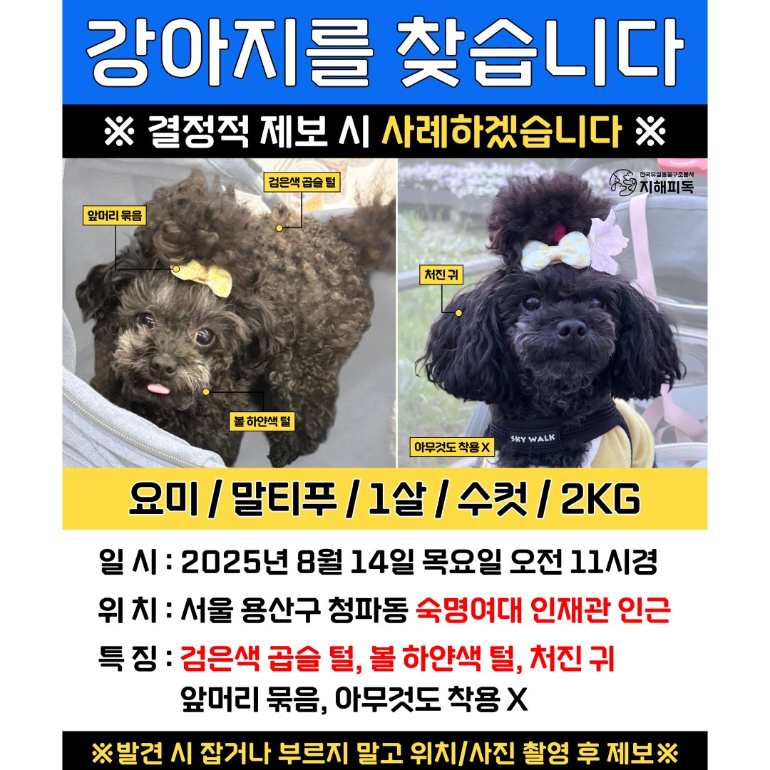 Post image 11