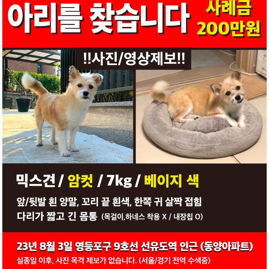 Post image 17