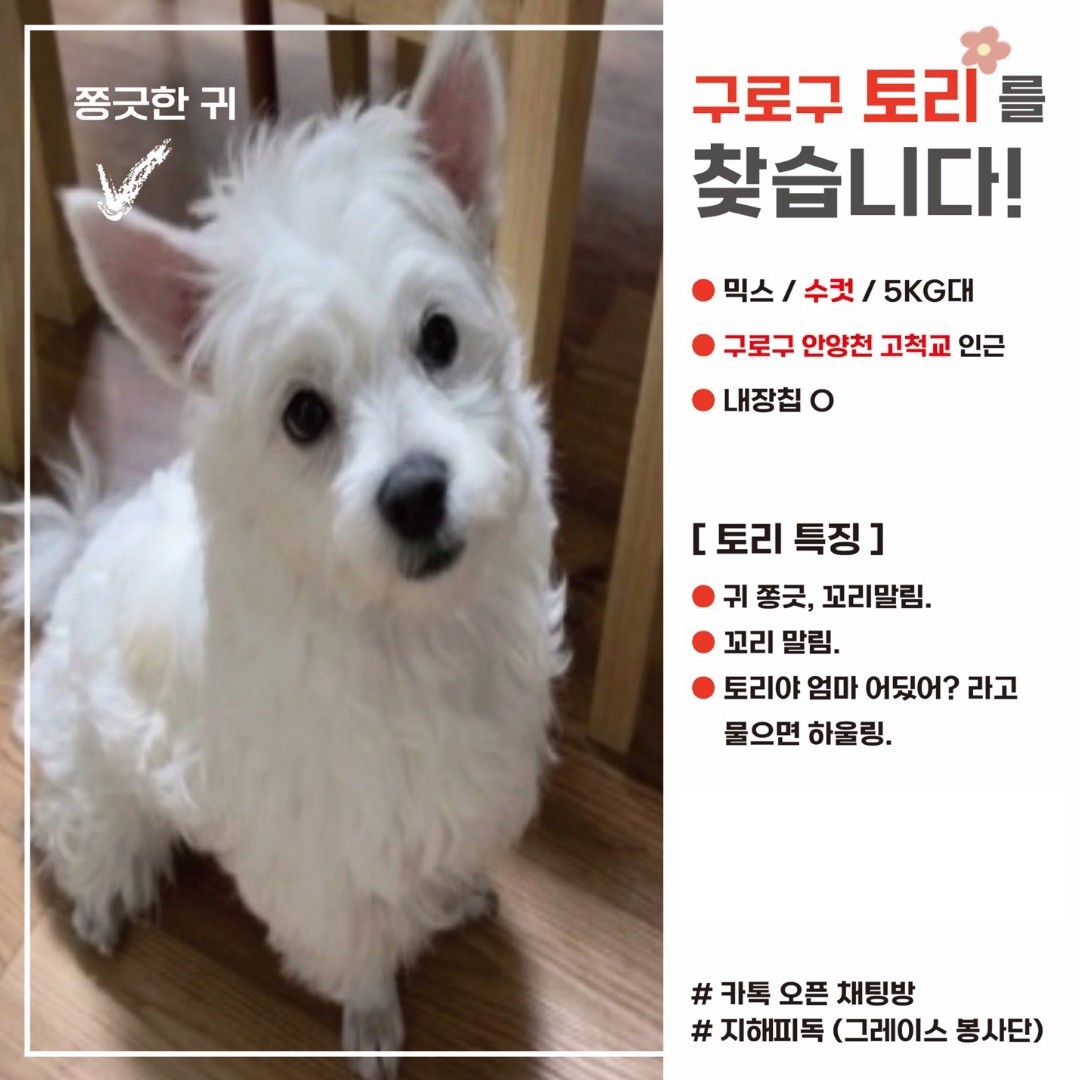 Post image 18