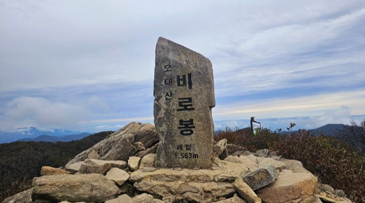 🍎대관령 토요 등산🍏오대산🍎
